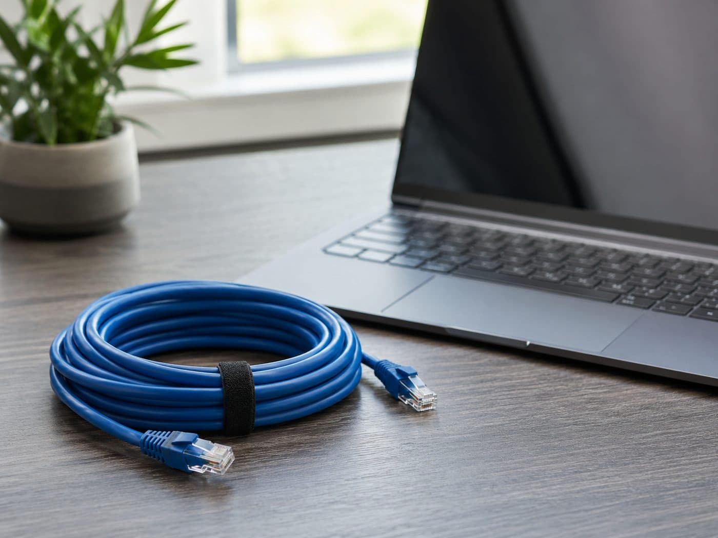 Cable de red sobre un escritorio de trabajo